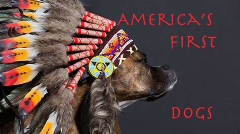 Native american dogs curse